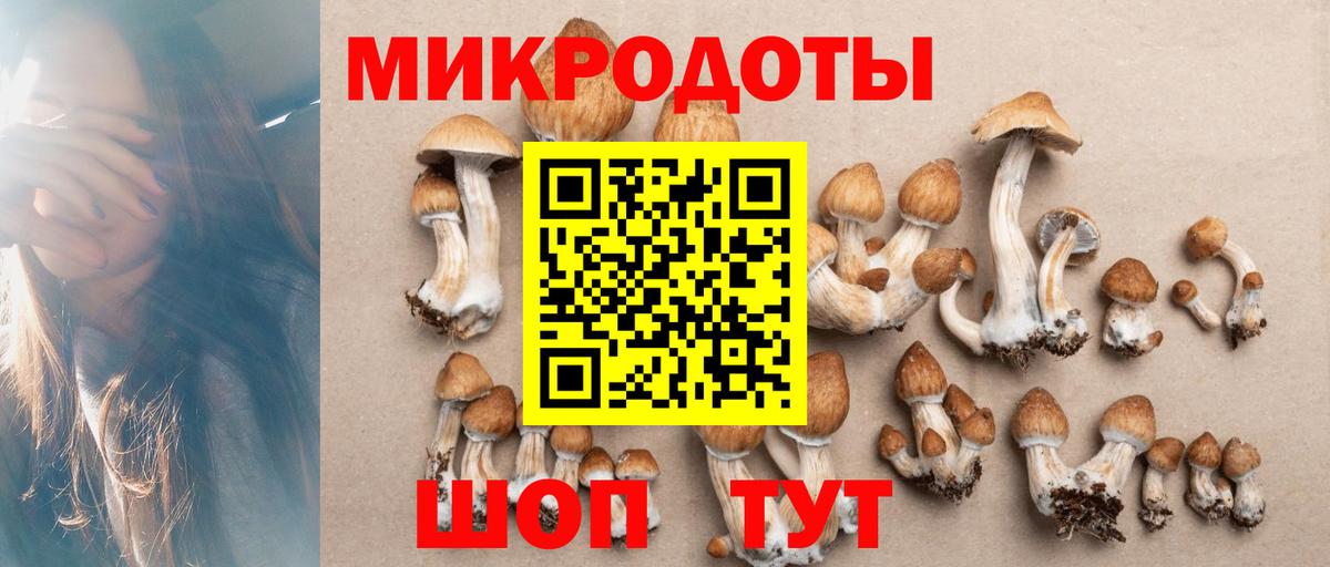 Магадан  наркота  Вход с VPN  Псилоцибиновые грибы Magic Shrooms 